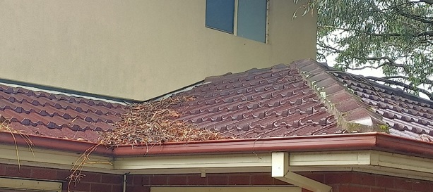 Non-compliant roofing